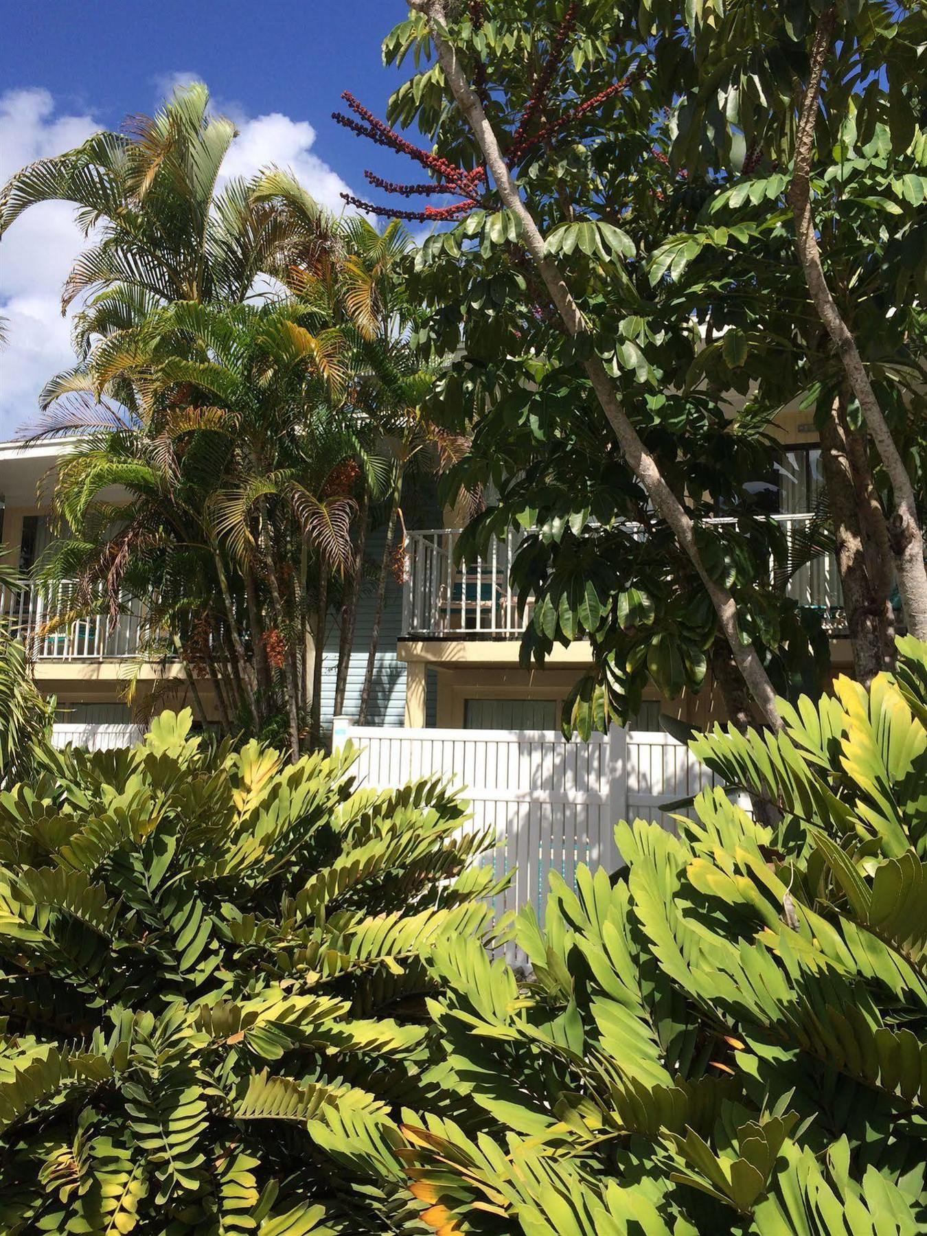 Coquina On The Beach Lido Key  ภายนอก รูปภาพ