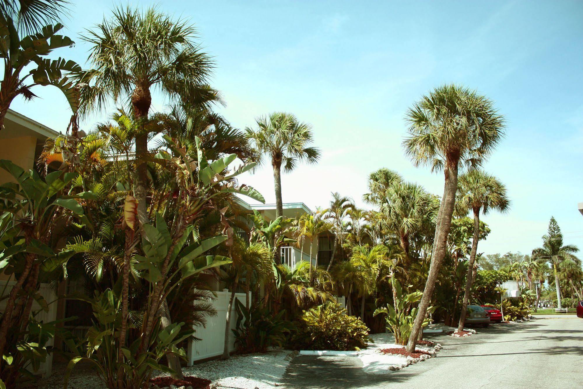 Coquina On The Beach Lido Key  ภายนอก รูปภาพ