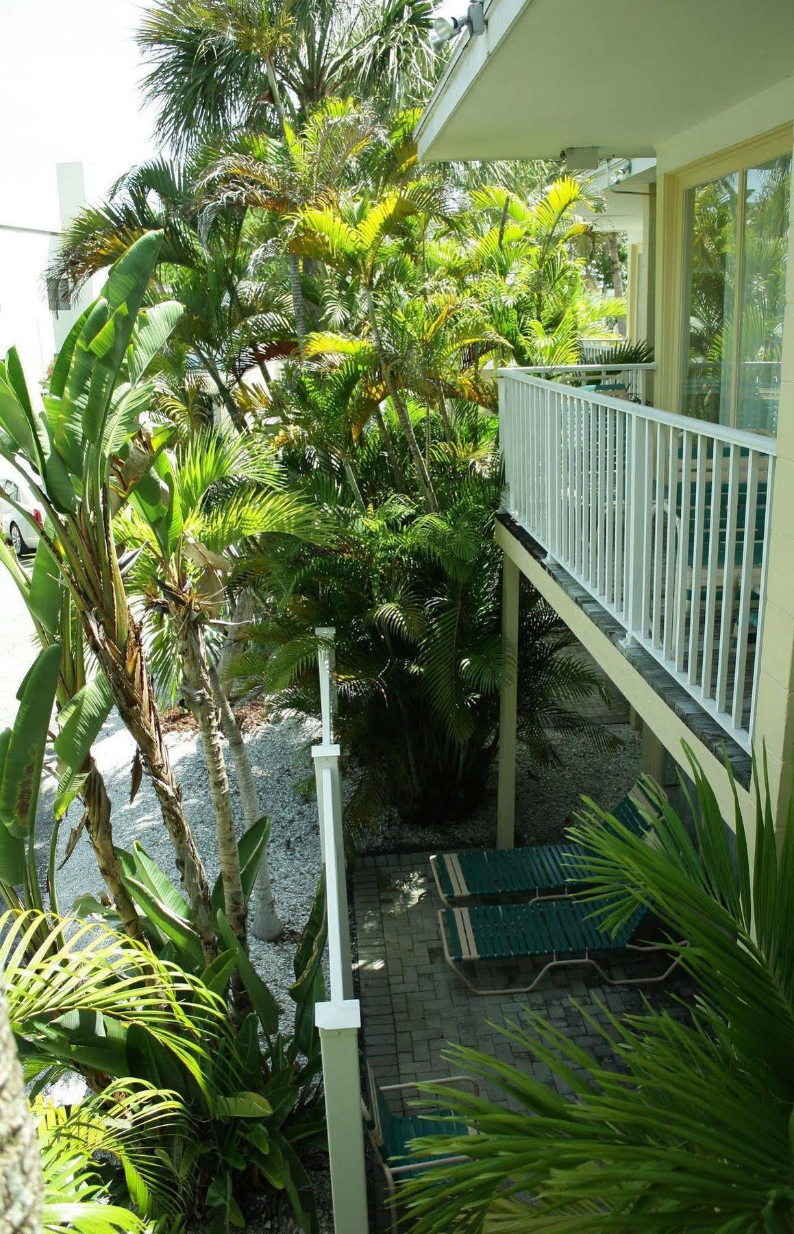 Coquina On The Beach Lido Key  ภายนอก รูปภาพ